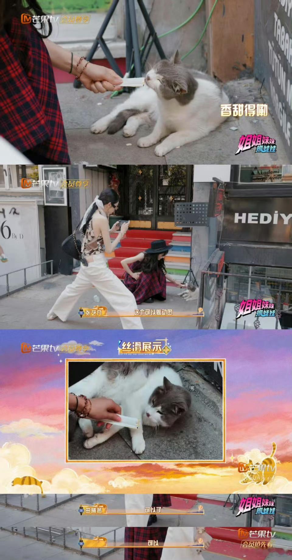 点开词条前：什么味？点开后：哈哈哈哈！田曦薇身上的野猫味熏到康康了已经开始脑补