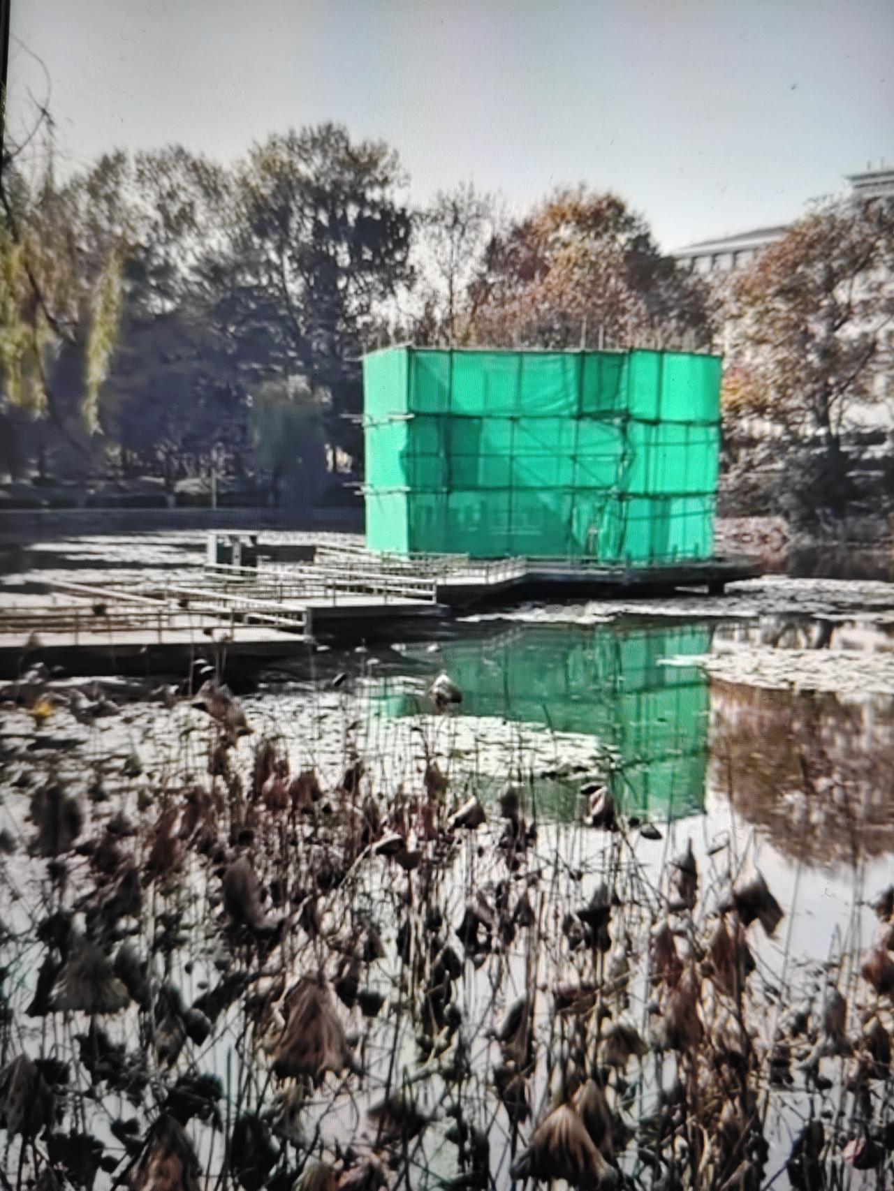 青岛市中山公园小西湖内的亭子今年8月底突然坍塌后，有关部门把现场用绿色的施工围挡