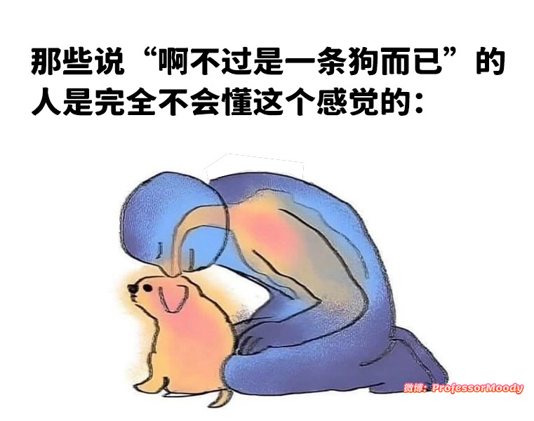 猫猫狗狗就是最棒的！('ω')​​​