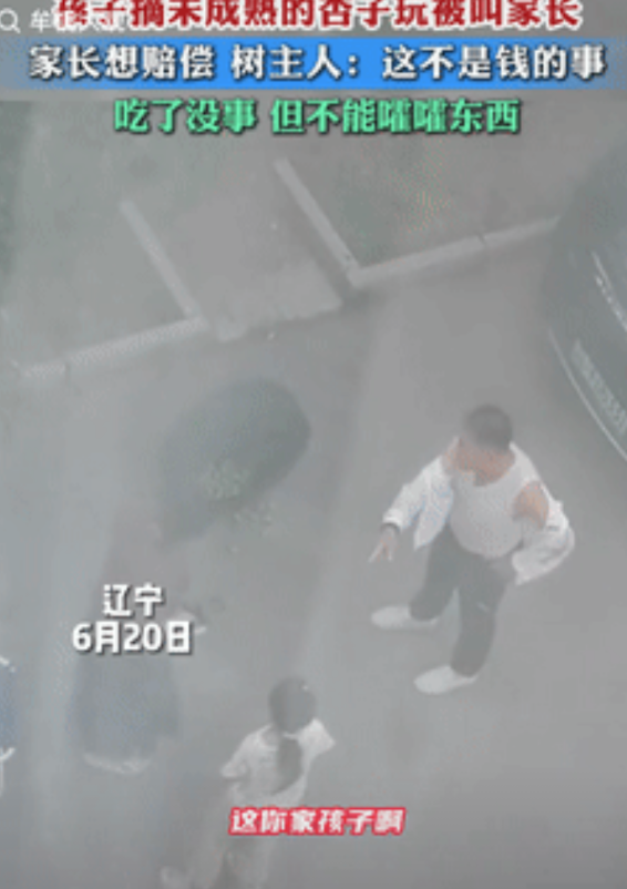 “这就是正能量！”辽宁一小孩贪玩把没成熟的杏子偷摘下来玩，结果被树主人抓个正着，
