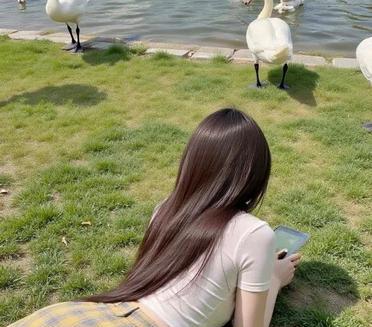看那湖面，波光粼粼，天鹅优雅，我躺在草地上，手捧着书，朋友！这宁静的午后，真让人