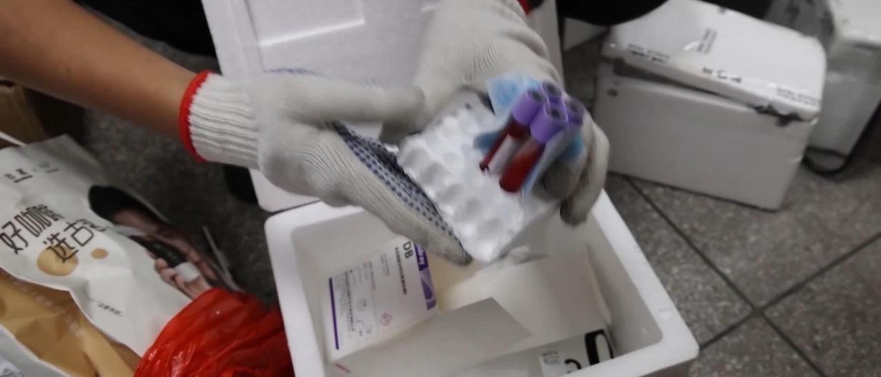 超10万份孕妇血样，被人用胶带绑在腰上、藏进行李箱，一批批偷运出了国。10月4