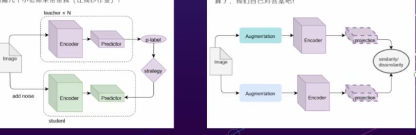 说了这么多理论，SSB方法到底表现如何？让我们来看看实验数据。研究团队在三个广泛