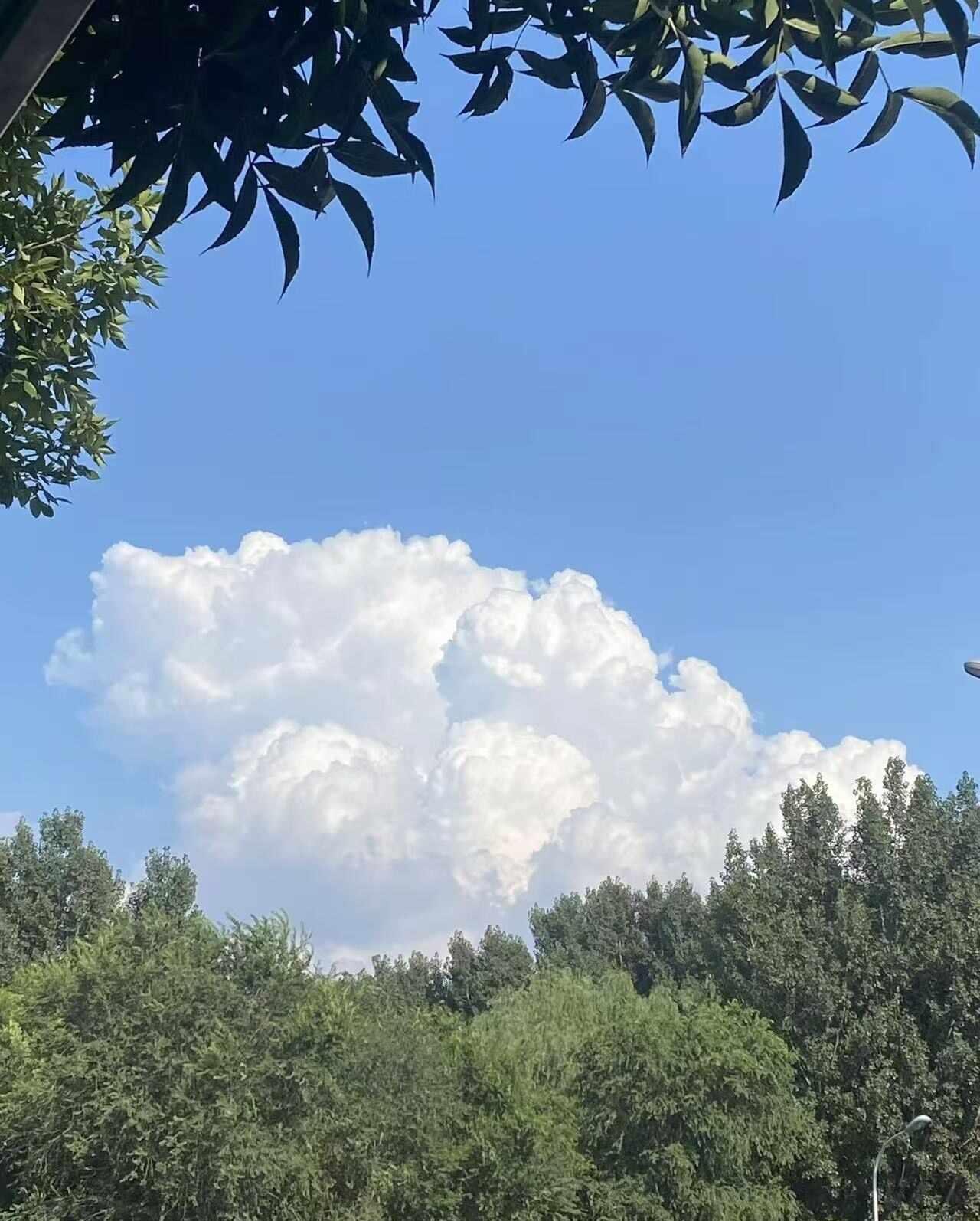 1.男女最佳结婚年龄是25-32岁。无论男女，如果经济实力和长相一般，年纪大了都