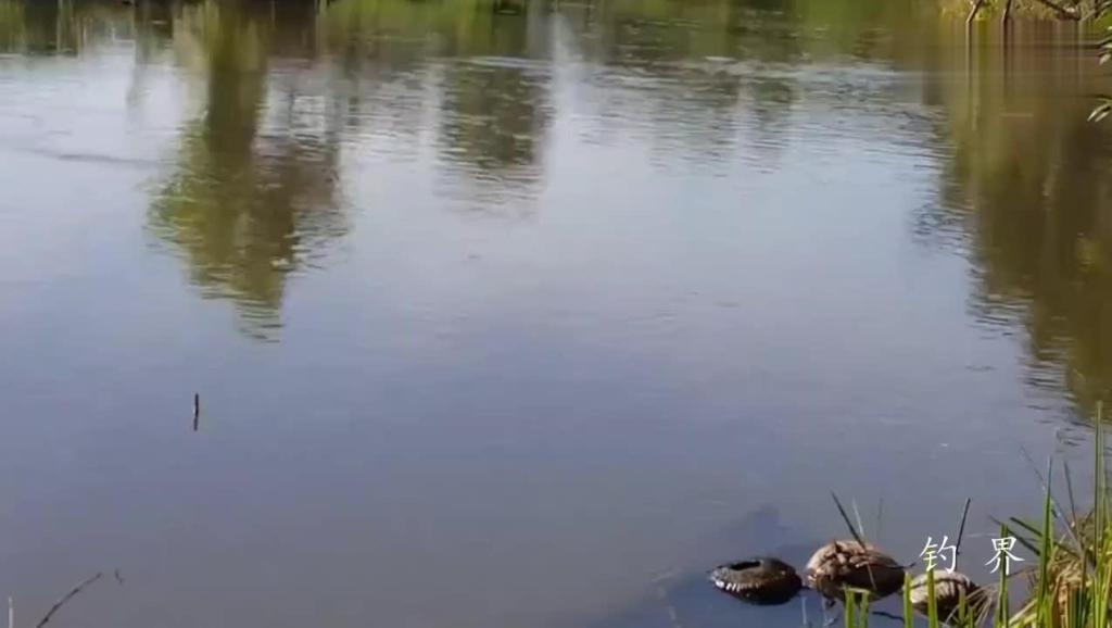 直接拉到1分30秒看吧。