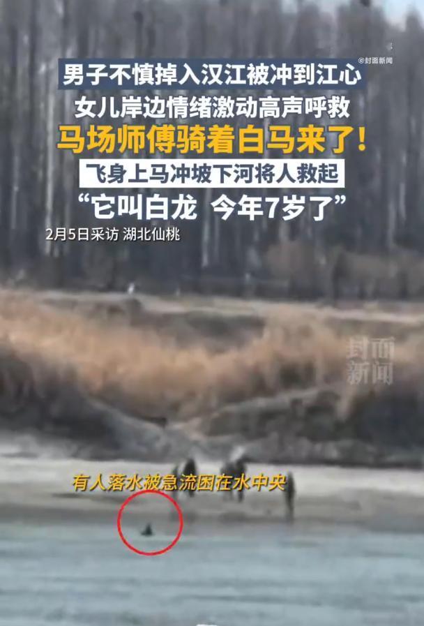 湖北仙桃一男子不慎落水，女儿情急之下也跳入江中试图救父，危急时刻三位热心市民挺身