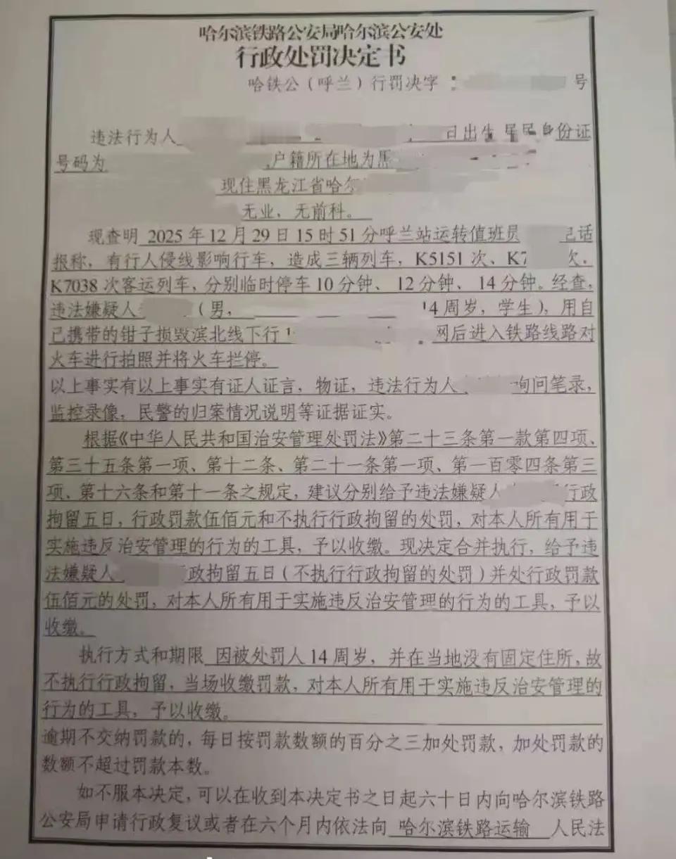 人怎么可以闯这么大的祸！黑龙江一个14岁的男孩，拿着钳子把铁路边的封闭网给剪了个