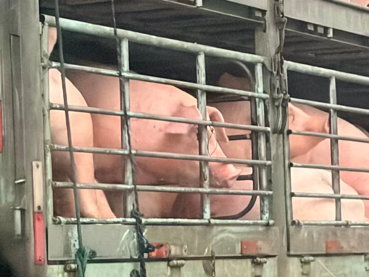 我看见你在车里了。