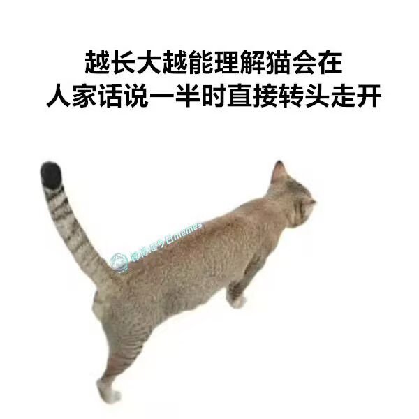 完全懂了[捂脸哭]​​​