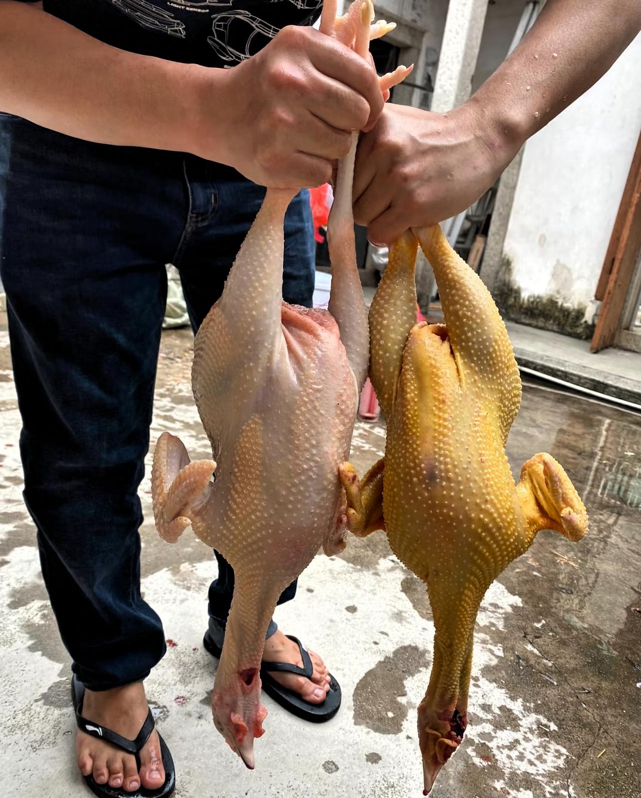 去年舅妈手术，表弟张口借了两万，我没多问，直接转了过去。今日门铃响，是他。