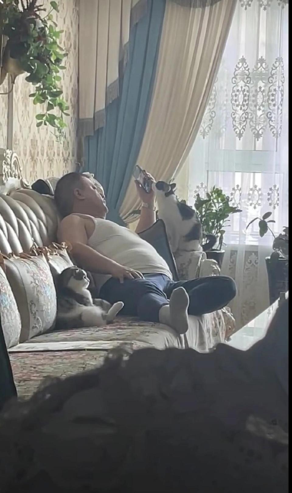 “我爸说我养猫就给它丢出去”