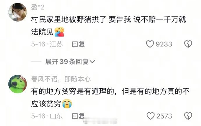 原来这才是真实的选调生生活......​​​