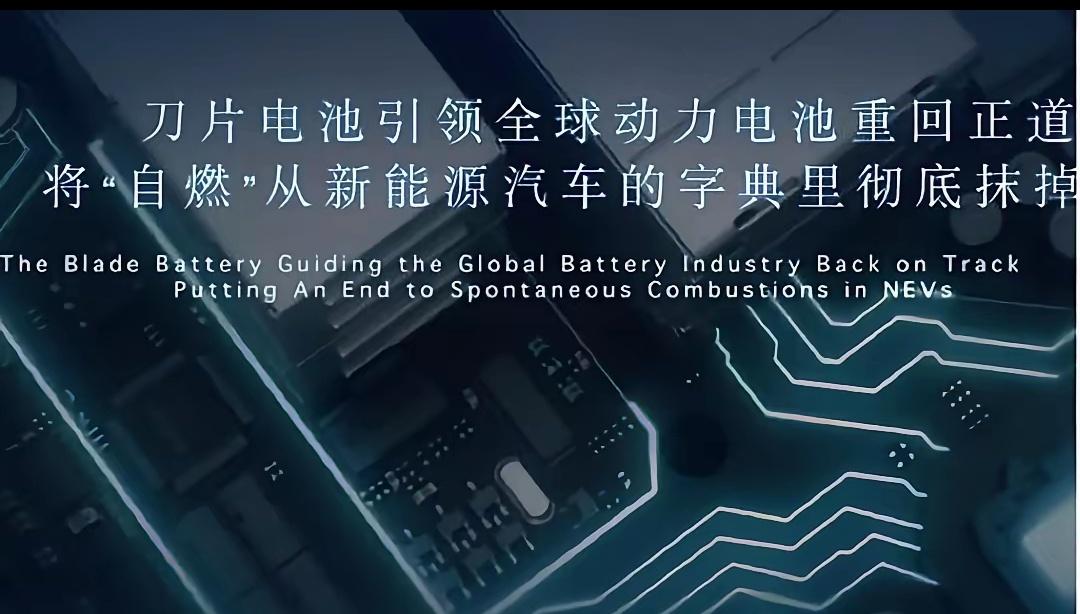 比亚迪现在干了一件事，从三十万的车到十万的车，电池全给统一了。清一色的磷酸铁