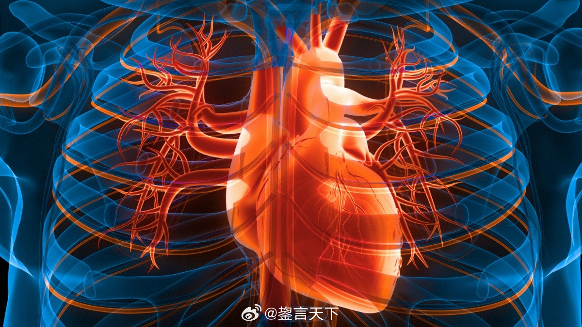 悉尼大学报道三个改变可以很大程度降低卒中与心衰危险报道介绍了一项来自悉尼大学、