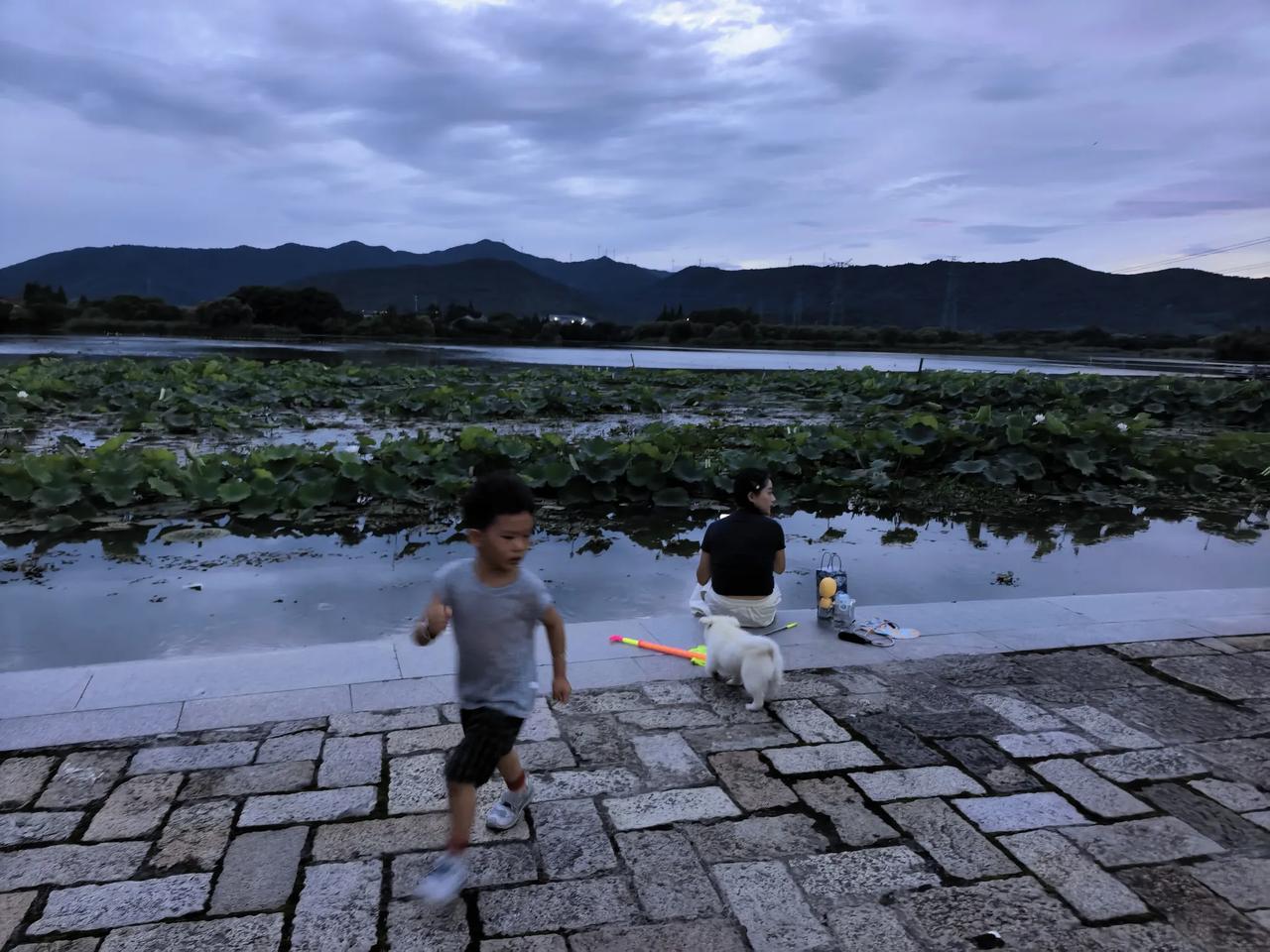 全浙江都在等的“渣男”巴威：怕你不来，又怕你乱来！这几天，全体浙江人像是统一得