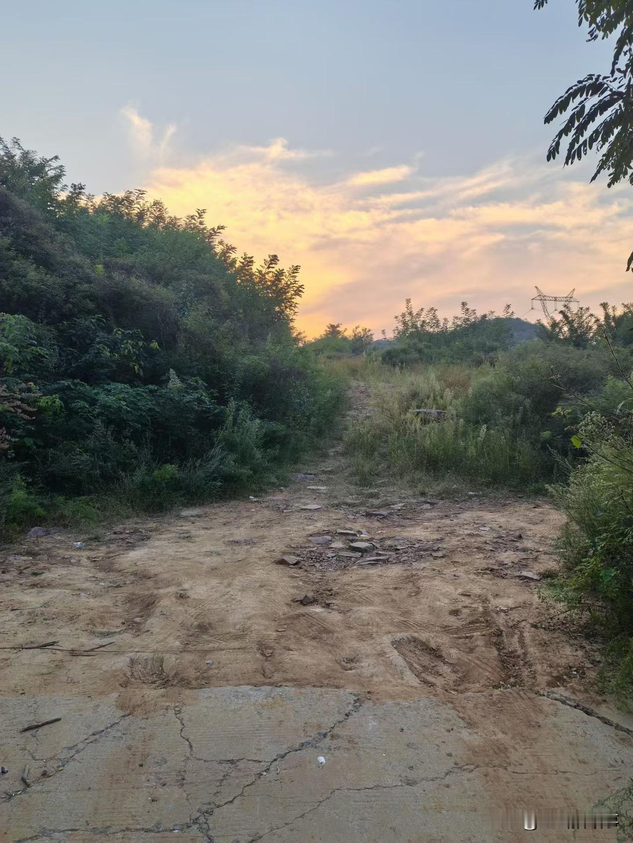 大舅哥在今年夏初的时候查出来得了胃癌，他儿子把他接来郑州医院医治，最初给他隐瞒了