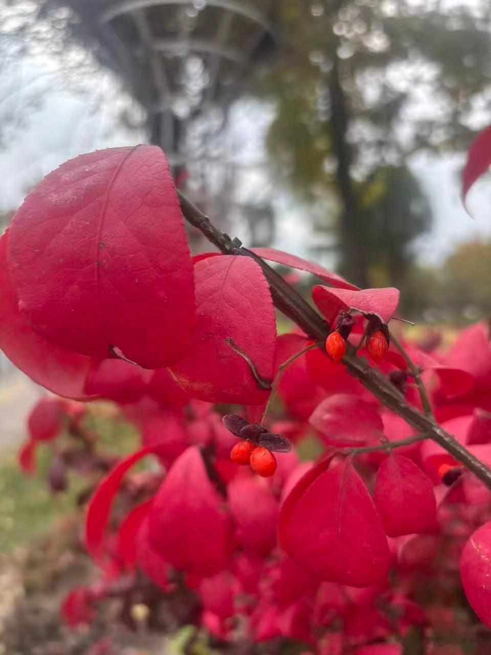李飞飞，“人工智能下一个前沿领域就是空间智能，即物理AI（黄仁勋提出）。这项技
