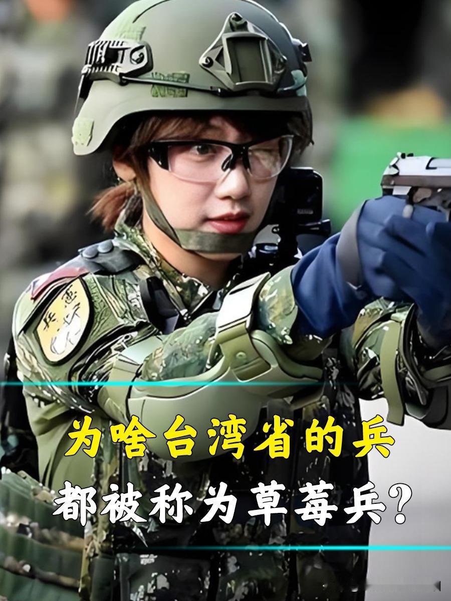 草莓兵其实也蛮可爱的！2018年后，草莓兵的义务役，大幅缩短为4个月军事训练