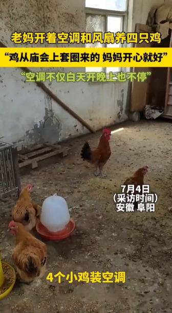 “这才是有钱任性啊！”7月4日，安徽阜阳，一女子因为天气炎热，担心自己养的4只小