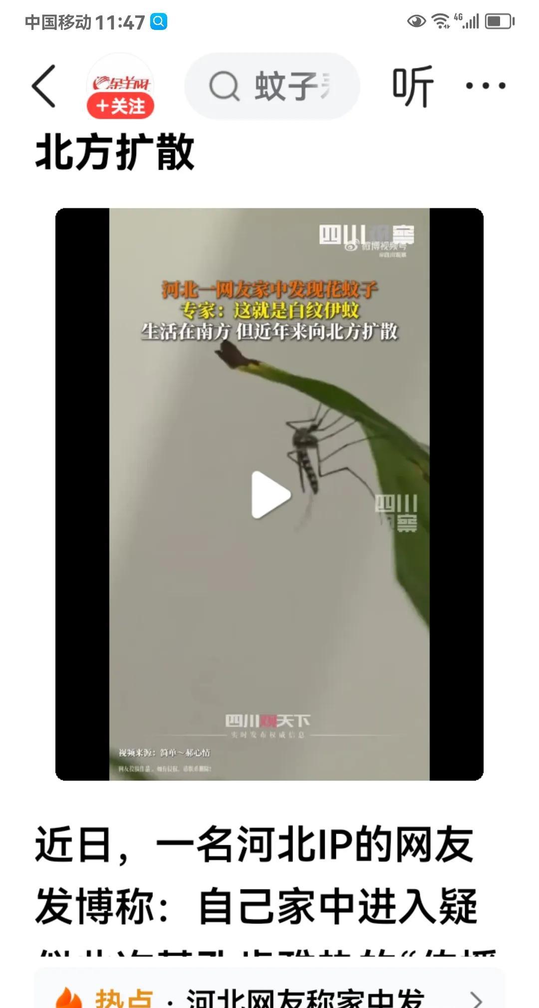 这个消息不可大意。据金羊网报道，河北网友发视频，说自己家里发现了花蚊子。经专