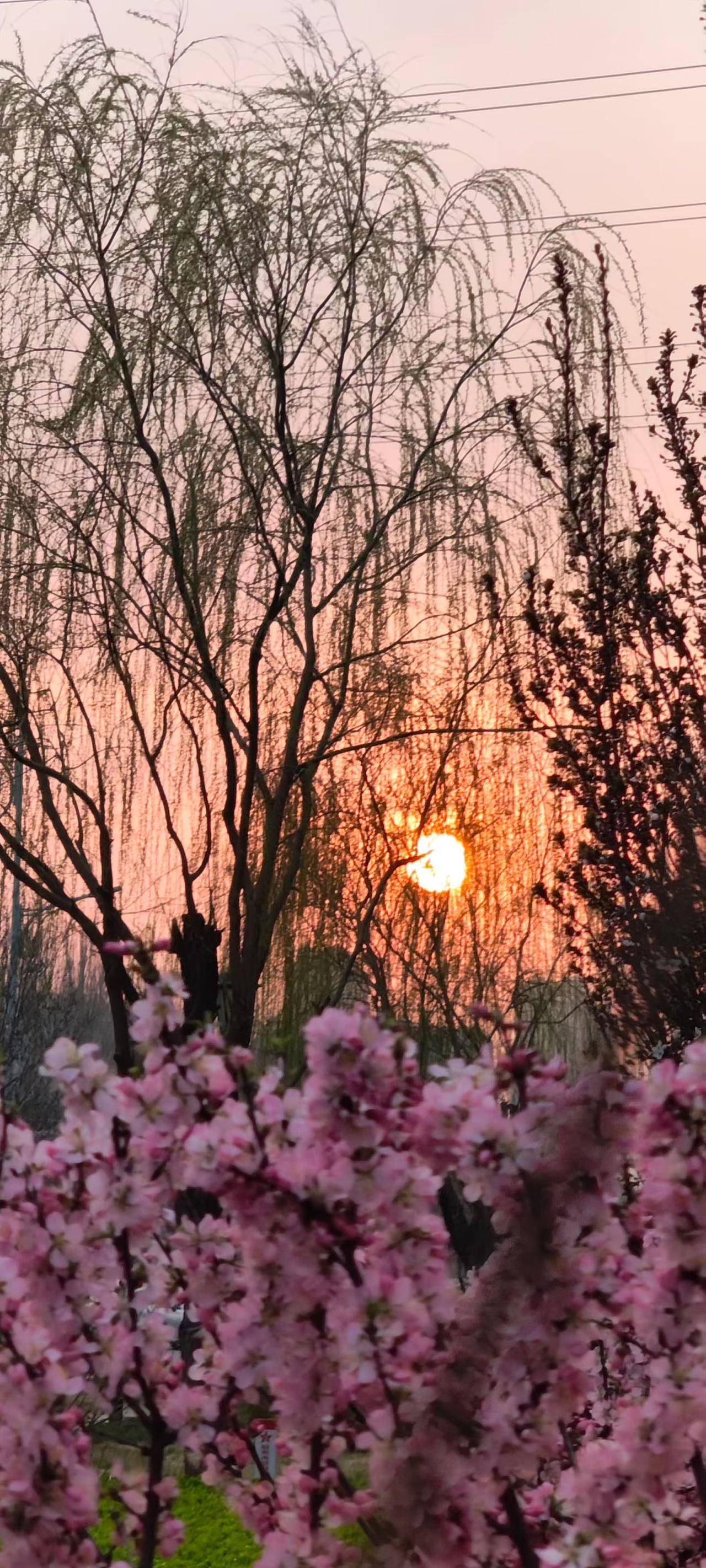 有没有好看的风景图片分享