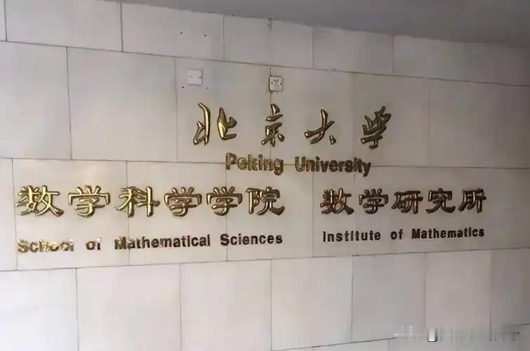 在数学领域，北京大学毫无争议断层领先。这次菲尔兹奖，两位创造历史的中国籍得主王虹