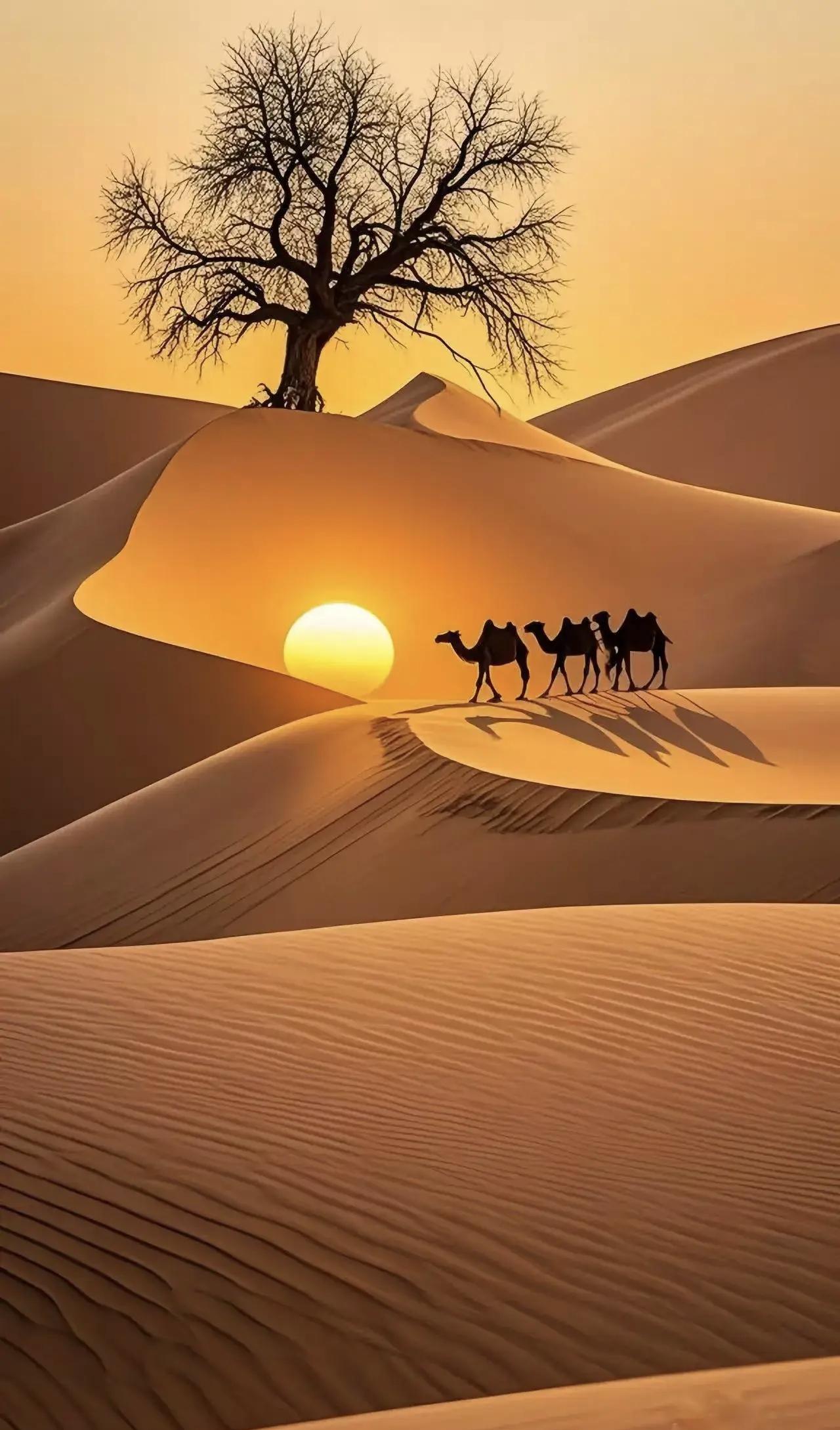 《七律·初冬》作者：转转看到朔风乍起万木箫，琼花漫飞长空寥。北国至