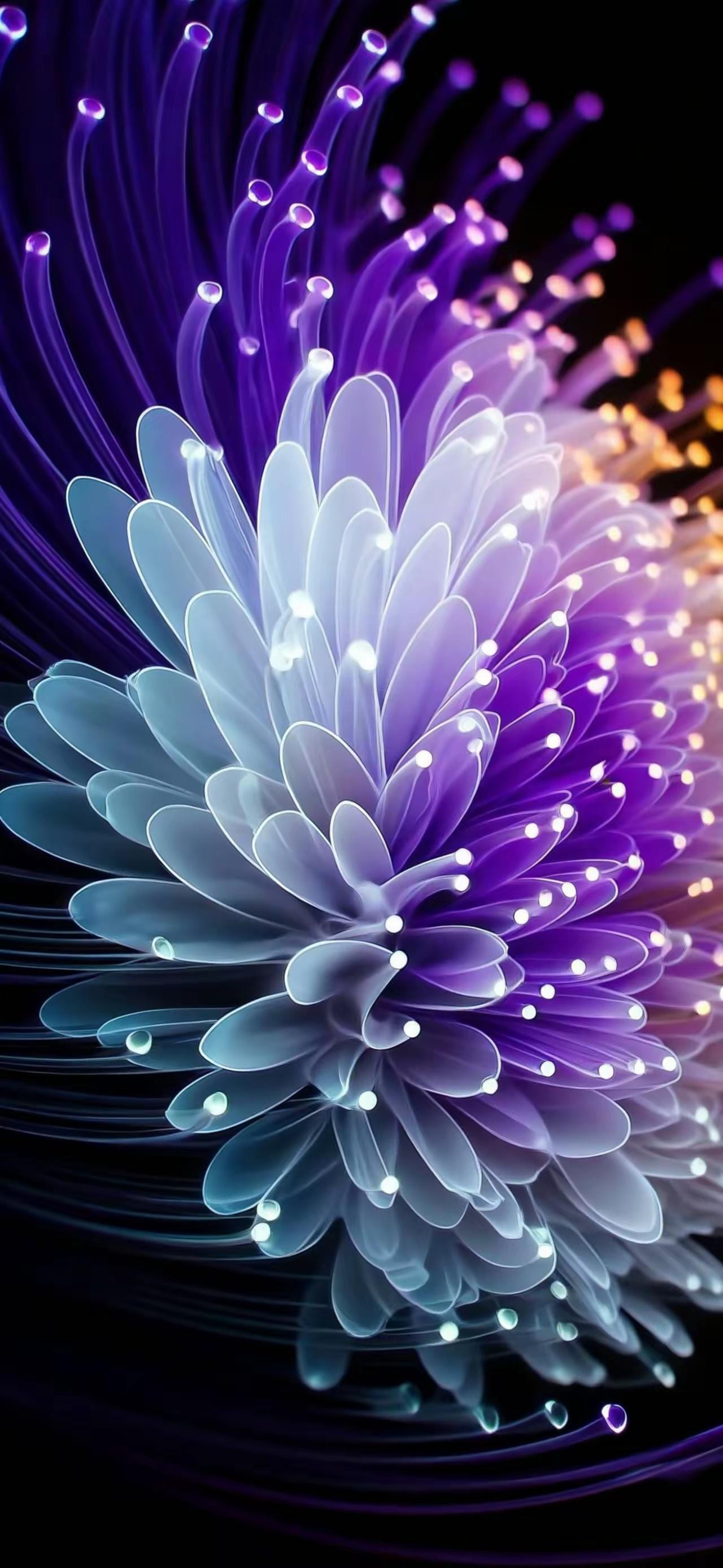 手机壁纸～光影在黑夜里绽放成花，毛球在温柔中盛满天真，星河在漩涡里奔赴远方。每一