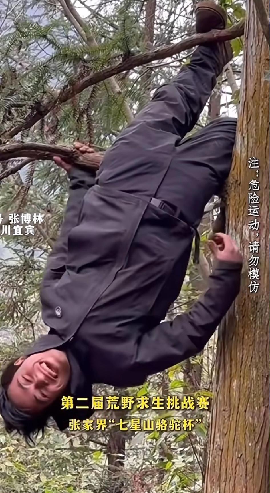 难怪大家都叫林北荒野猴子！你看他这个爬树的姿势，猴子都没他这么稳妥啊！别