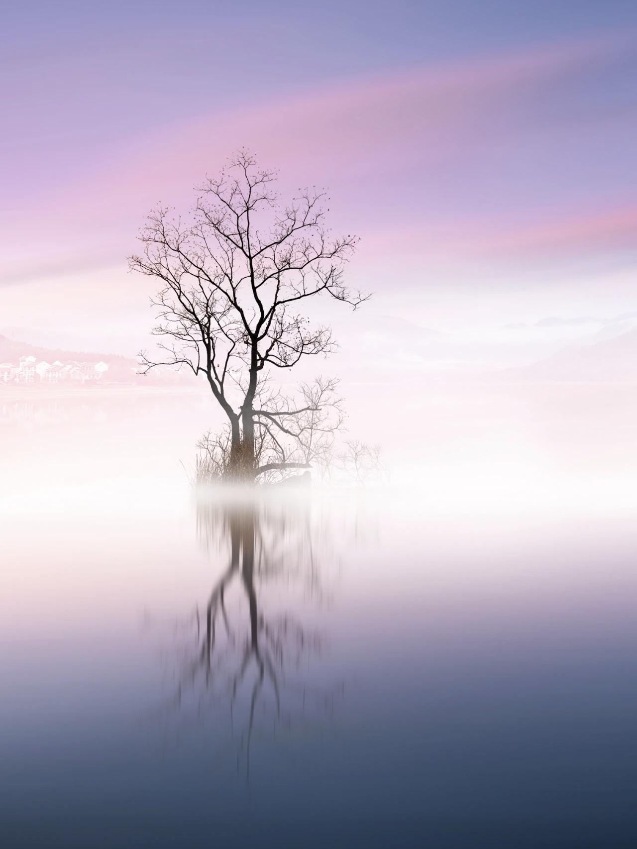 冬已至，秋还在，徽州的秋，是一首读不厌的诗~|皖美冬日|第十五届安徽国际文