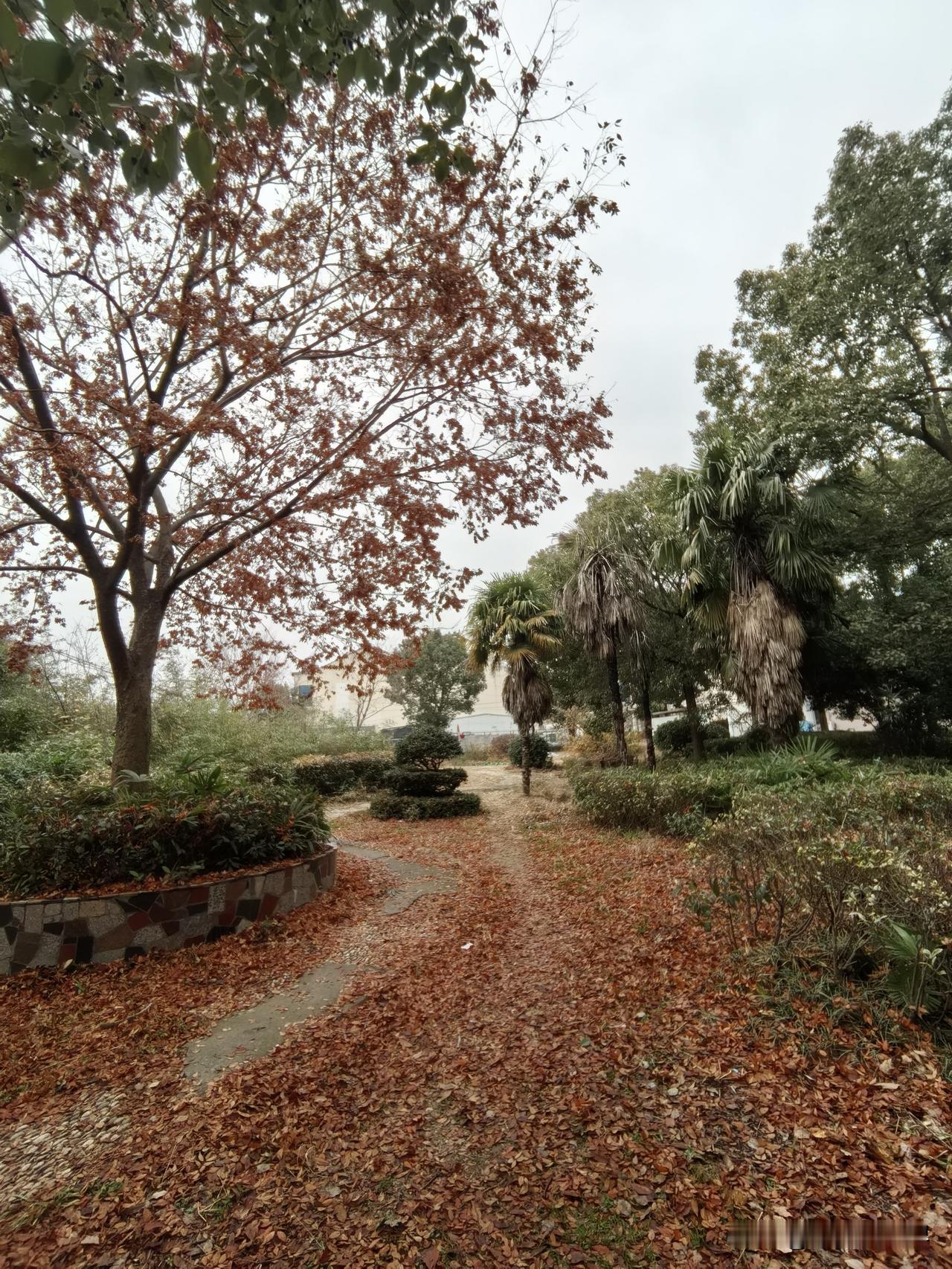 我们这里有户人家，有一个儿子两个女儿。但当三个孩子还没成家时，四十多岁的爸爸就出