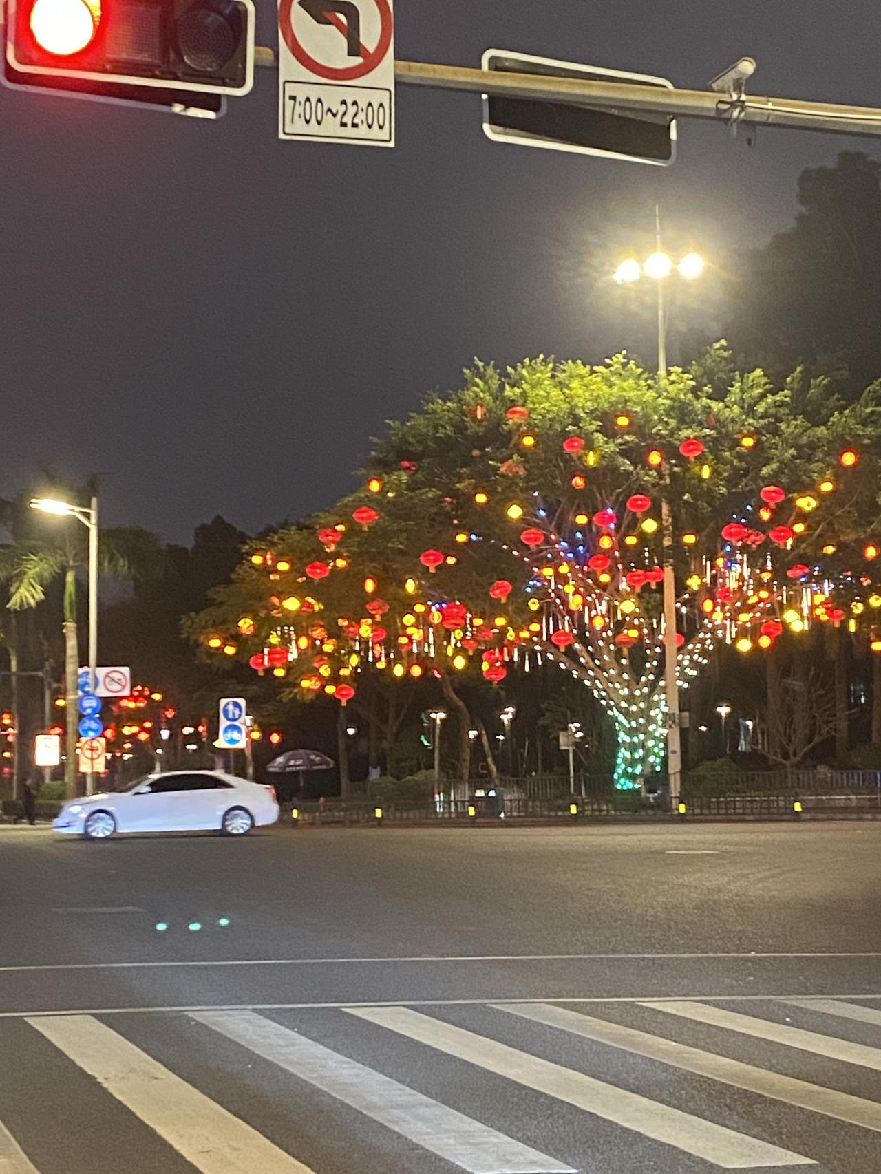 20年前的事情，一小伙的父母车祸中双双离世，获赔偿70万。叔叔舅舅等商量后决定，