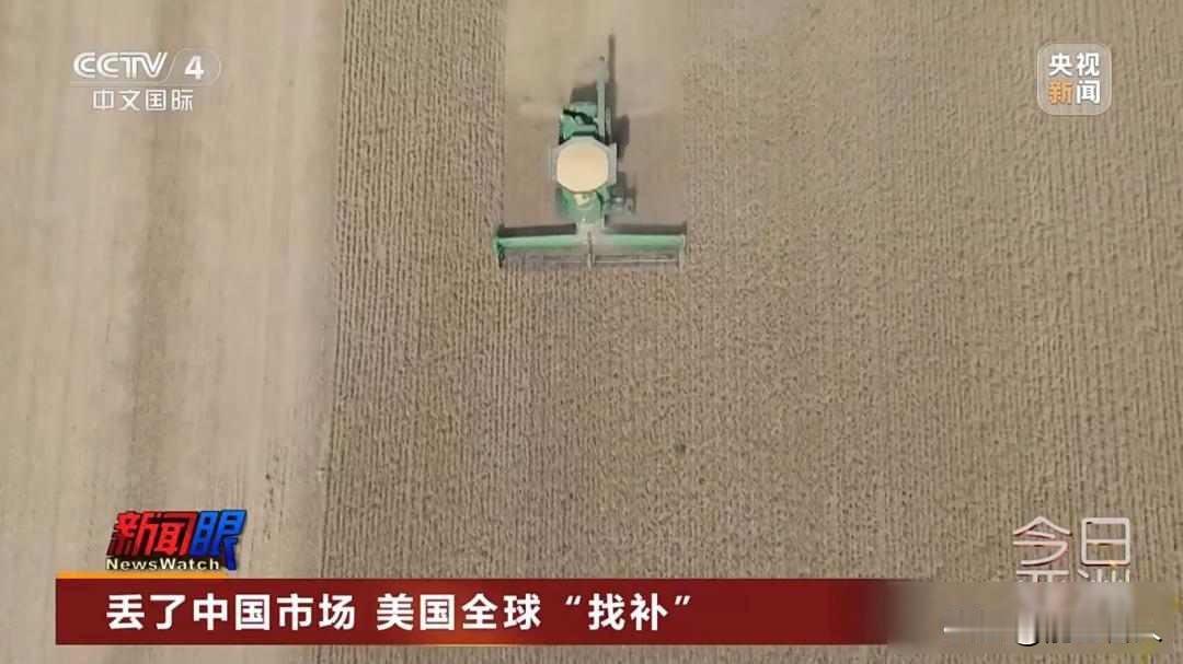 美国大豆卖不动了，中国不买了，背后藏着什么？2024年，美国大豆出口赚了24