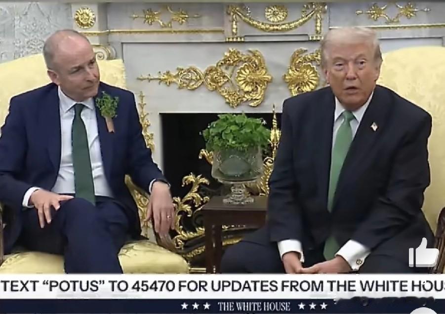 特朗普在会见爱尔兰总理马丁时指出，“我认为北约正在犯一个非常愚蠢的错误，大家都同