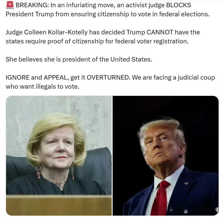 一名左派激进法官阻止了特朗普总统确保联邦选举中只有公民才能投票的举措。法官科