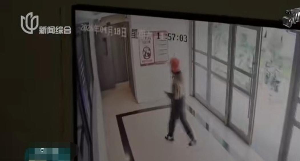 上海嘉定，陈先生家住某小区，从2024年到2026年间，每年的4、5月份总会有陌