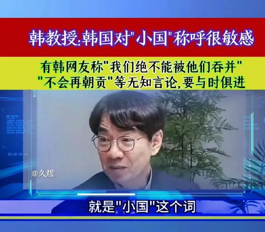 韩国教授：韩国人对被称为“小国”很敏感，但是韩国人自己要走出这个心结。这个教