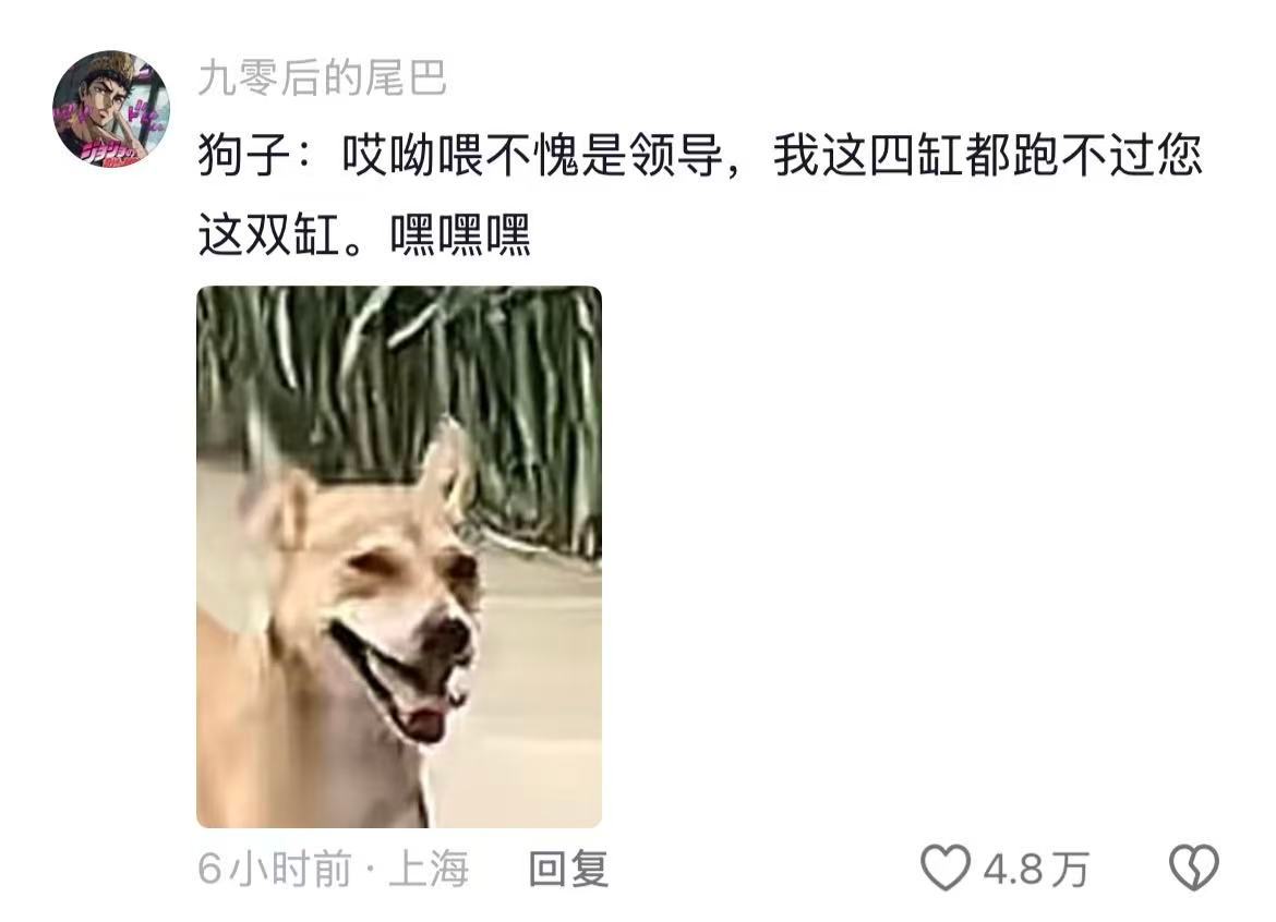 《狗：跑赢了累狗腿，跑输了有鸡腿》第一次见这么懂人情世故的狗哈哈哈哈