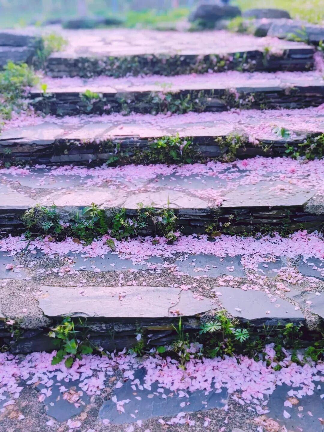 天蝎女太容易遭人嫉妒了她们往这一站什么都不说，什么都不做，就已经得罪很多人