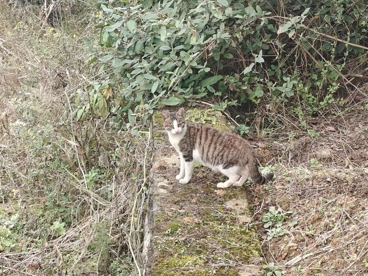 生活的难，都是自己给自己的。试着把难，过简单，生活就容易了。