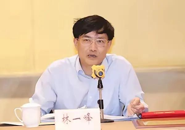 江苏省发改委前副主任林一峰落马，其唯一热衷之事竟是“掼蛋”游戏，也因此被戏称为“