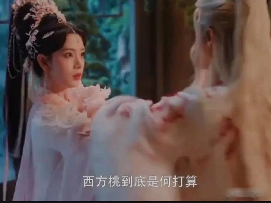 《水龙吟》西方桃加入中原剑会另有目的呀！！她让普珠先生替她担保加入中原剑会普珠先