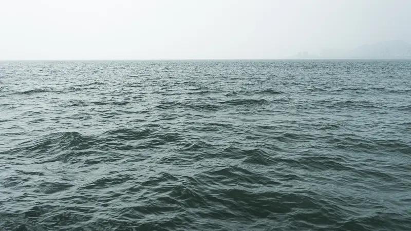 中国海水直接制氢获突破：向大海要绿氢，这次真的稳了！朋友们，今天要聊一个听起