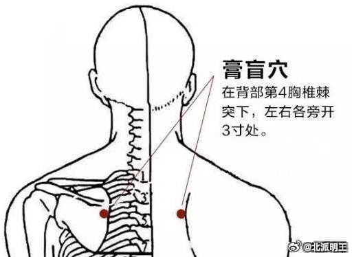 10月16日北派实时，北派古法长生图，强通八万四千气脉，中医穴位流注，返老还童，