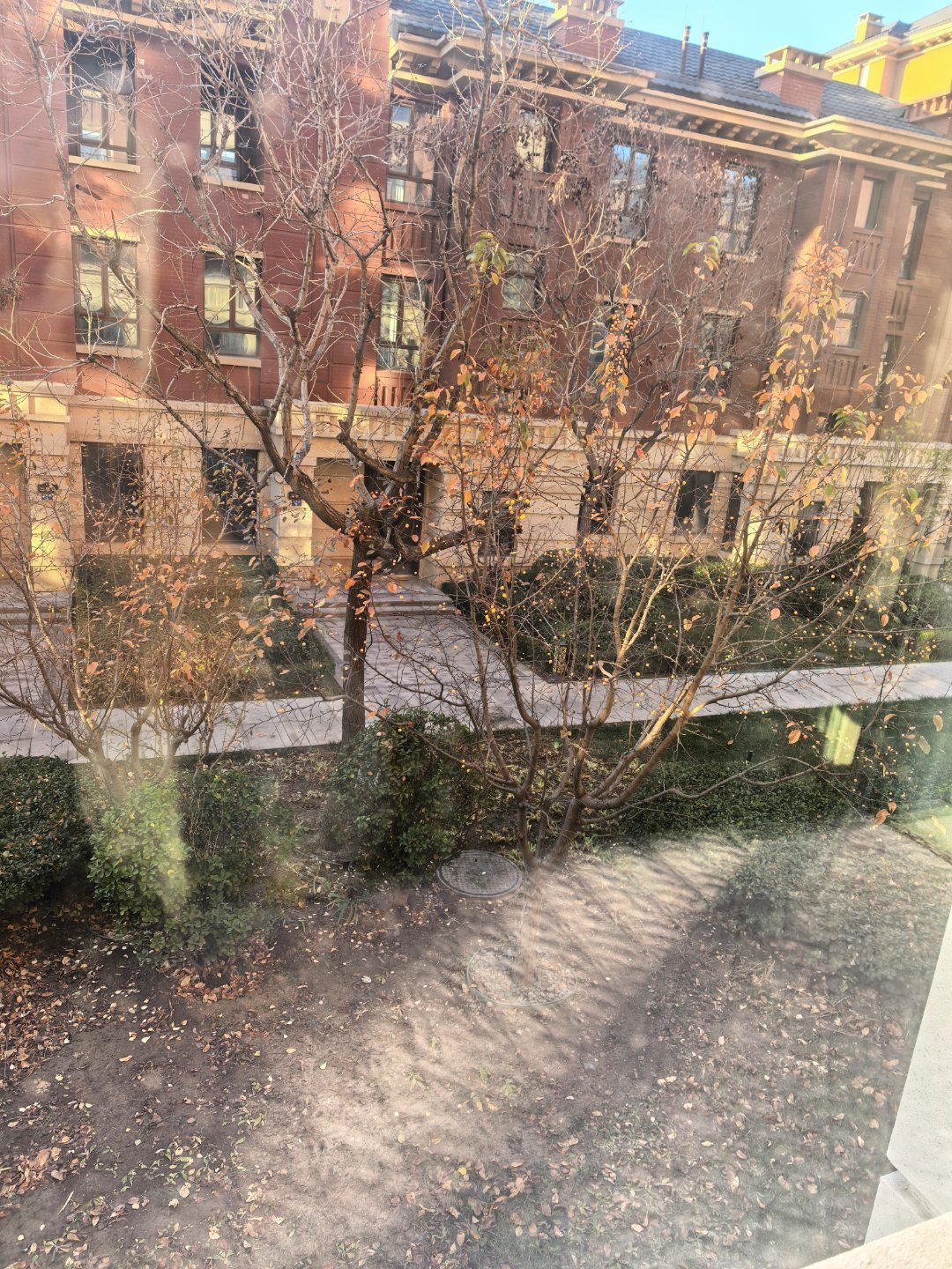 果然没逃过去，感冒了，🦠还是有点厉害的