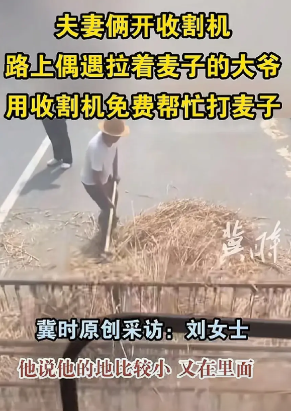 泪目！5月23日河南，一对开收割机的夫妻，干完收割麦子在路边休息，发现一位大爷在