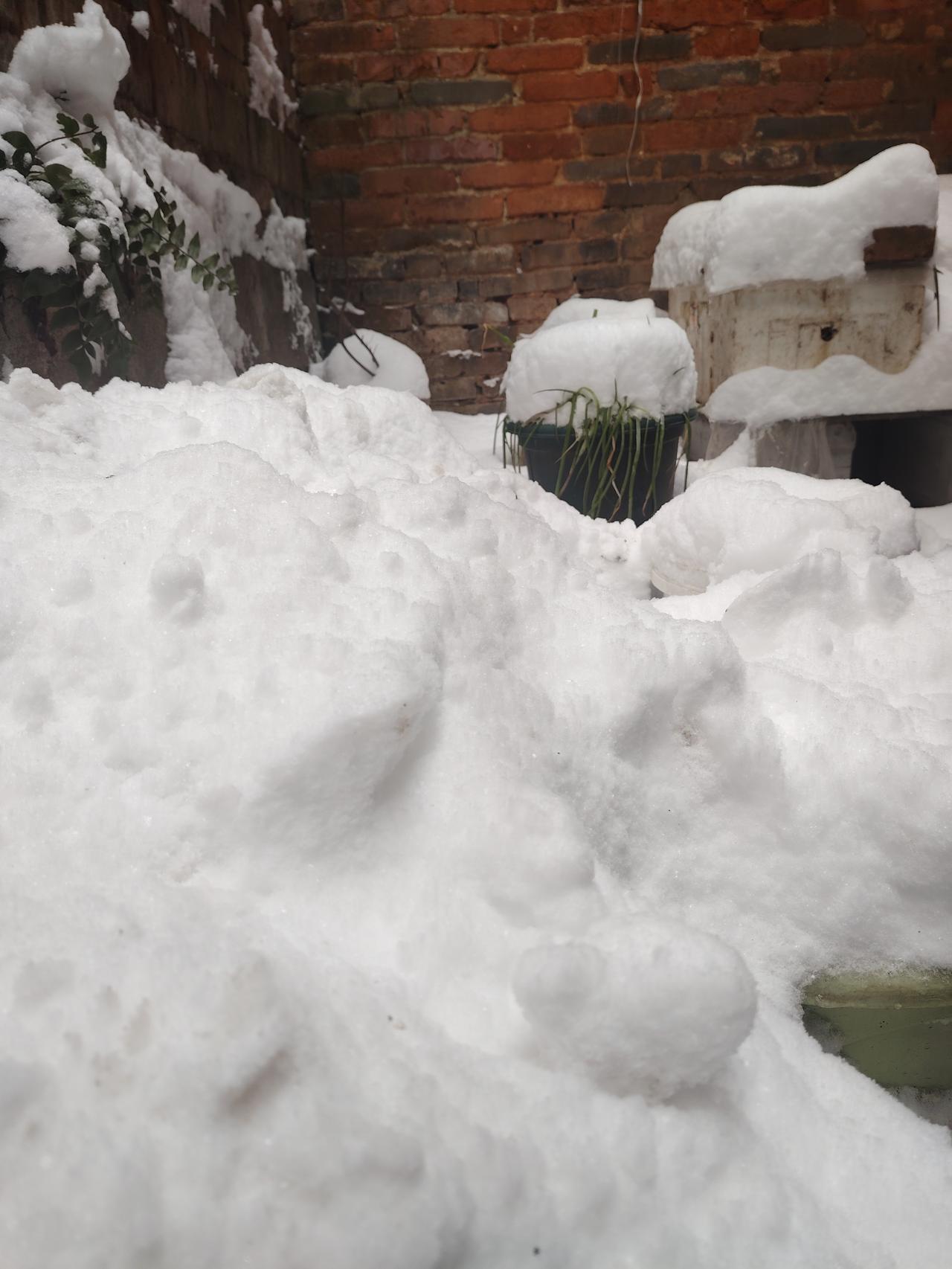 四九堪称一年中最冷的时段，民间有“三九四九冰上走”的说法。2025年1月