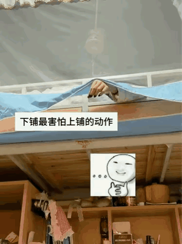 一用出这个动作我就知道上铺没干好事