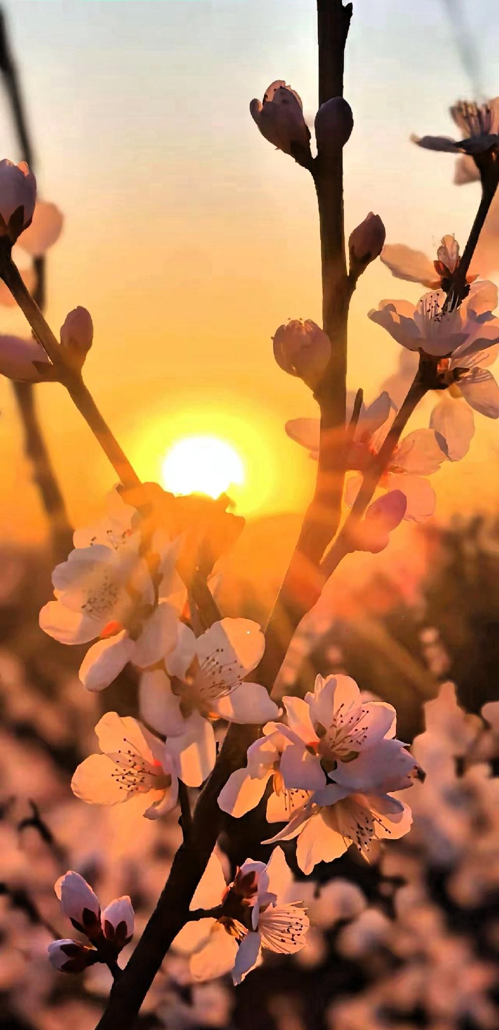 一个真实的故事​女孩在上海读大学，一天晚上准备和男友去外滩看灯光，路上遇到一位