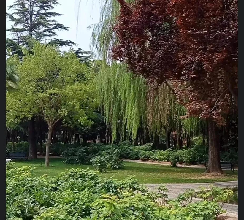 柴桑大姐：他们不是在保护他一个人，是在保自己。大姐说：因为这个事太大了，不是一